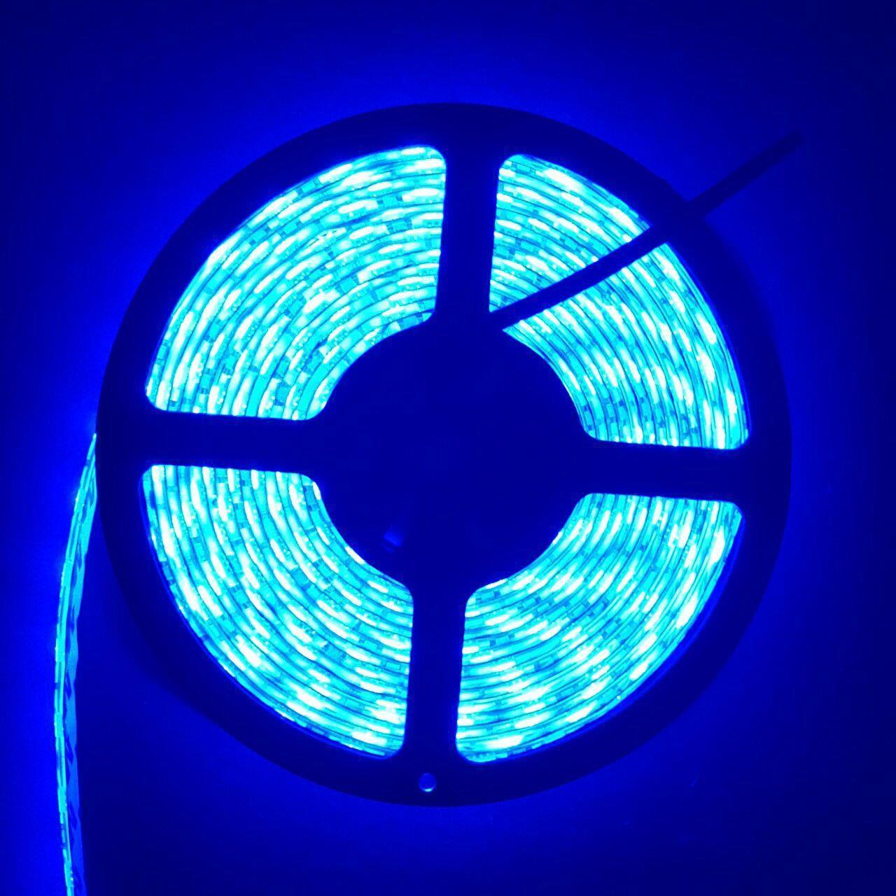 ŞERİT LED 24V DIŞ MEKAN MAVİ