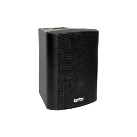 WESTA WS-4B HOPARLÖR SİYAH 100W