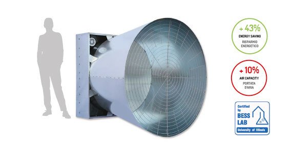 TYPHOON KONİ FAN
