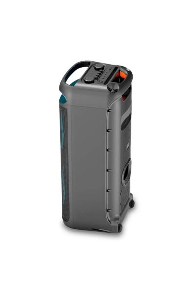 HEPU HP-100 2X10'' 2X25CM KABLOSUZ 1 EL MİKROFON BLUETOOTH ŞARJLI MÜZİK KUTUSU