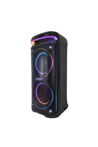 HEPU HP-100 2X10'' 2X25CM KABLOSUZ 1 EL MİKROFON BLUETOOTH ŞARJLI MÜZİK KUTUSU