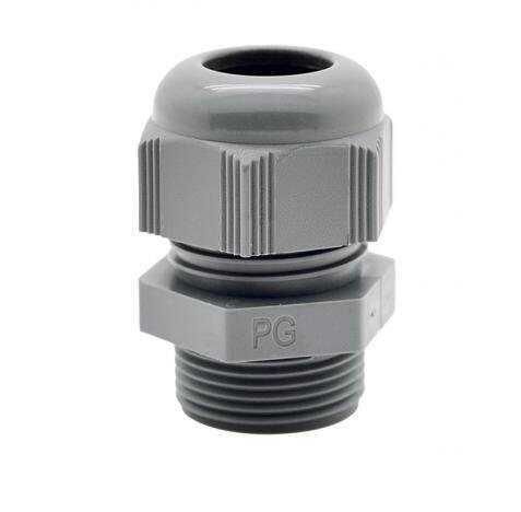 PANO REKORU 22 LİK