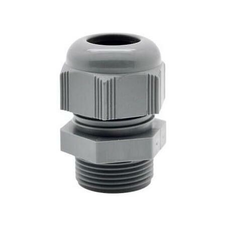 PANO REKORU 16 LIK MUTLUSAN